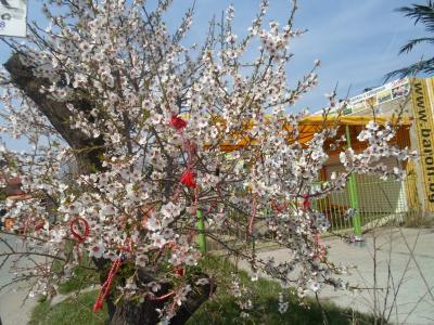 Marteniza